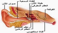 امراض الاذن واعراضها