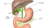 تاثير حصوات المرارة على الكبد