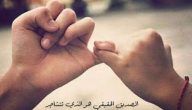 شعر مدح صديق