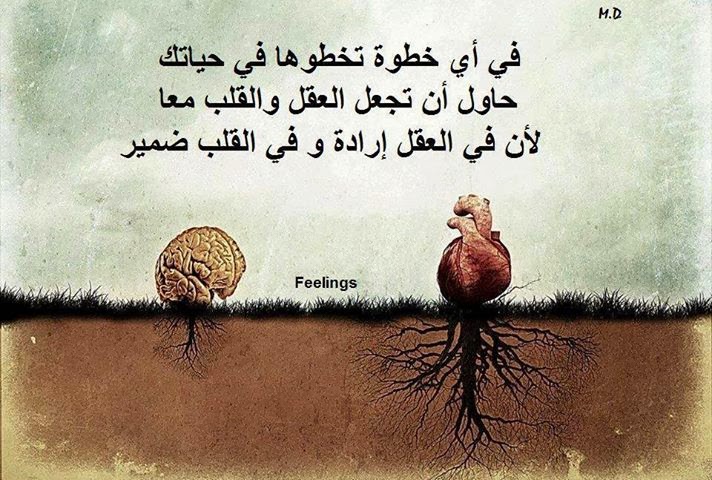 حكم قويه ومعبره