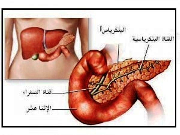 اين تقع جزر لانجرهانز