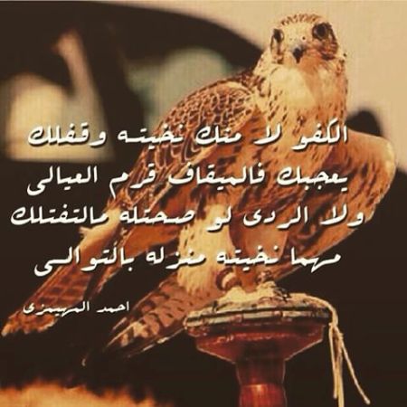 شعر مدح الشيوخ