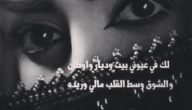 شعر غزل وحب بدوي