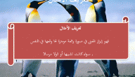 تعريف الامثال والحكم