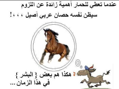 حكم مضحكة وأمثال