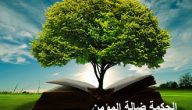 أقوال عن الحكمة