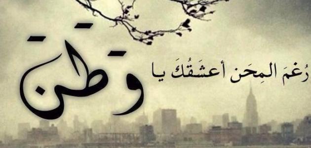 مقولات مؤثرة عن الوطن