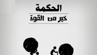 فوائد الحكمة