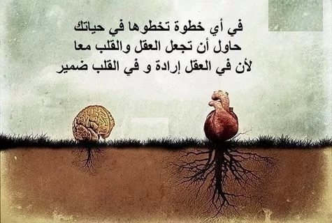 أجمل الحكم والعبارات المؤثرة