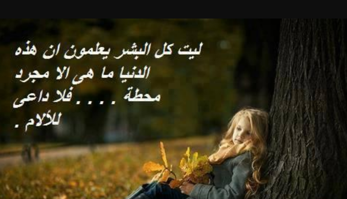 عبارات عجبتني