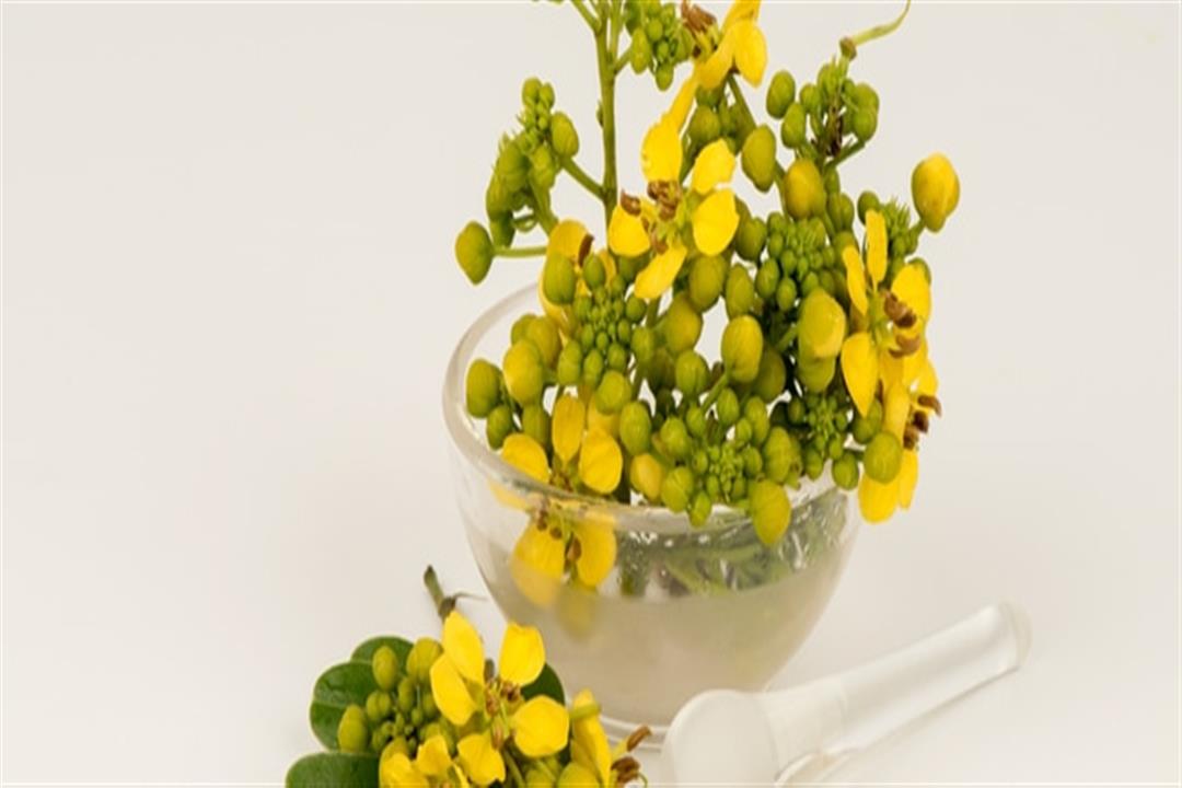اضرار السنامكي