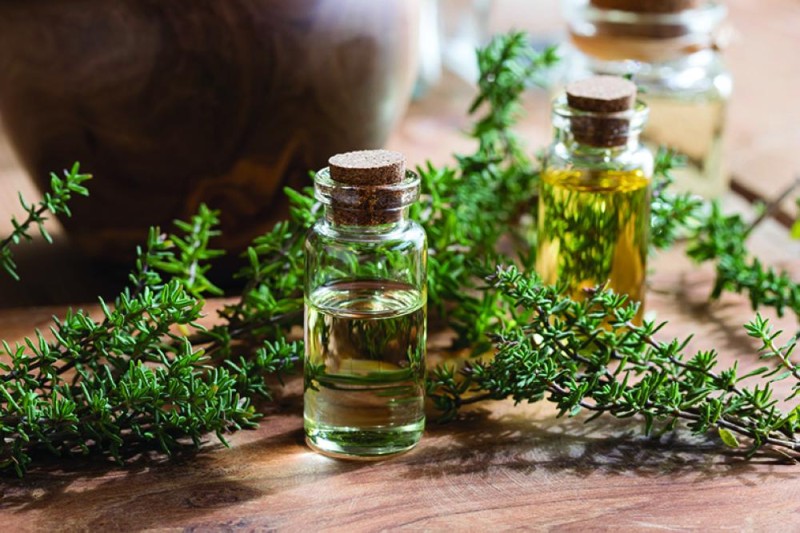 الزعتر وضغط الدم الزعتر وضغط الدم