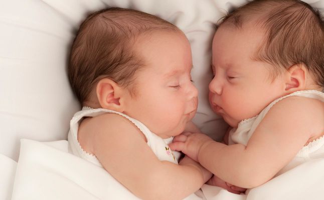 عشبة كف مريم للحمل بتوأم عشبة كف مريم للحمل بتوأم