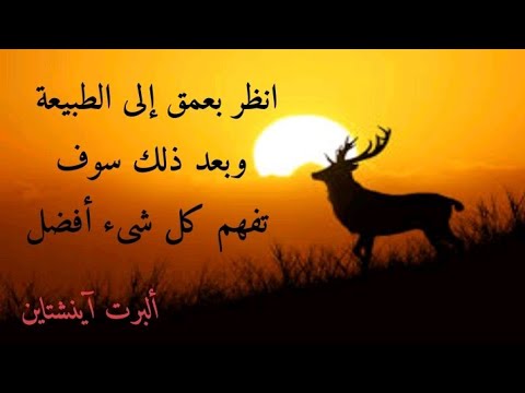 حكم وفوائد وأمثال