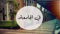 عبارات عن الدراسة الجامعية