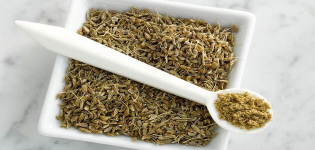 الشمر واليانسون والحلبة