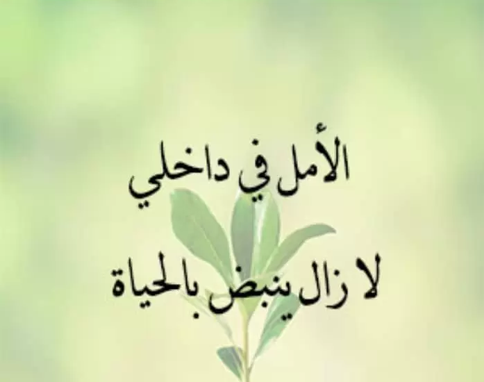 كلمات عن الحياة والأمل