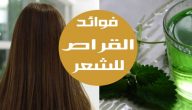 عشبة القراص للشعر