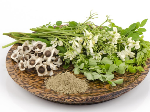 فوائد حبوب المورينجا