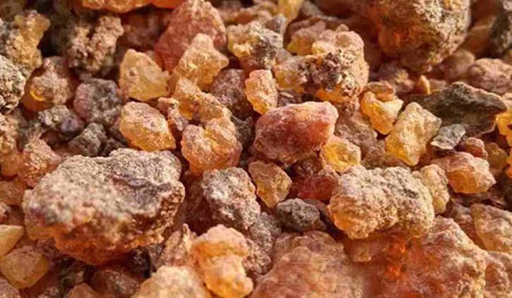 ماهي عشبة المر