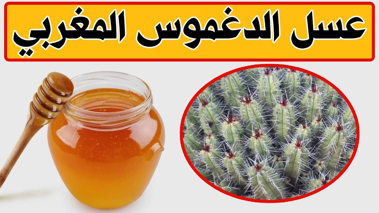 فوائد عسل الدغموس للرجال