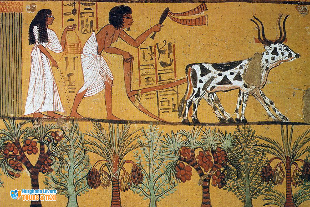 وسائل حفظ الطعام في عهد الفراعنة