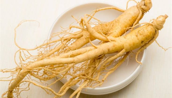 عشبة الجنسنج للتنحيف