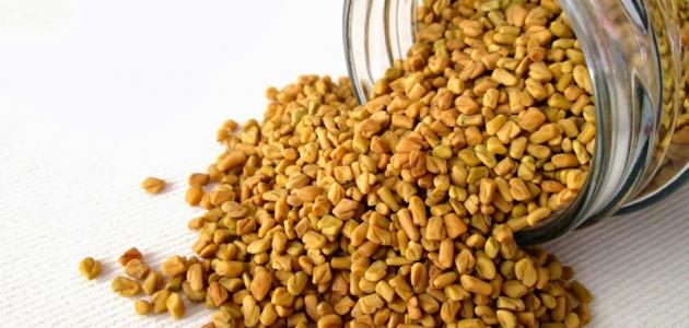 اضرار عشبة الحلبة