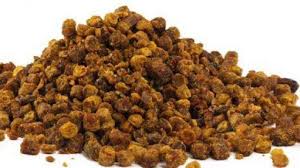 أضرار العكبر أضرار العكبر