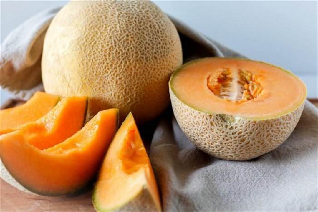 طريقة زراعة الشمام