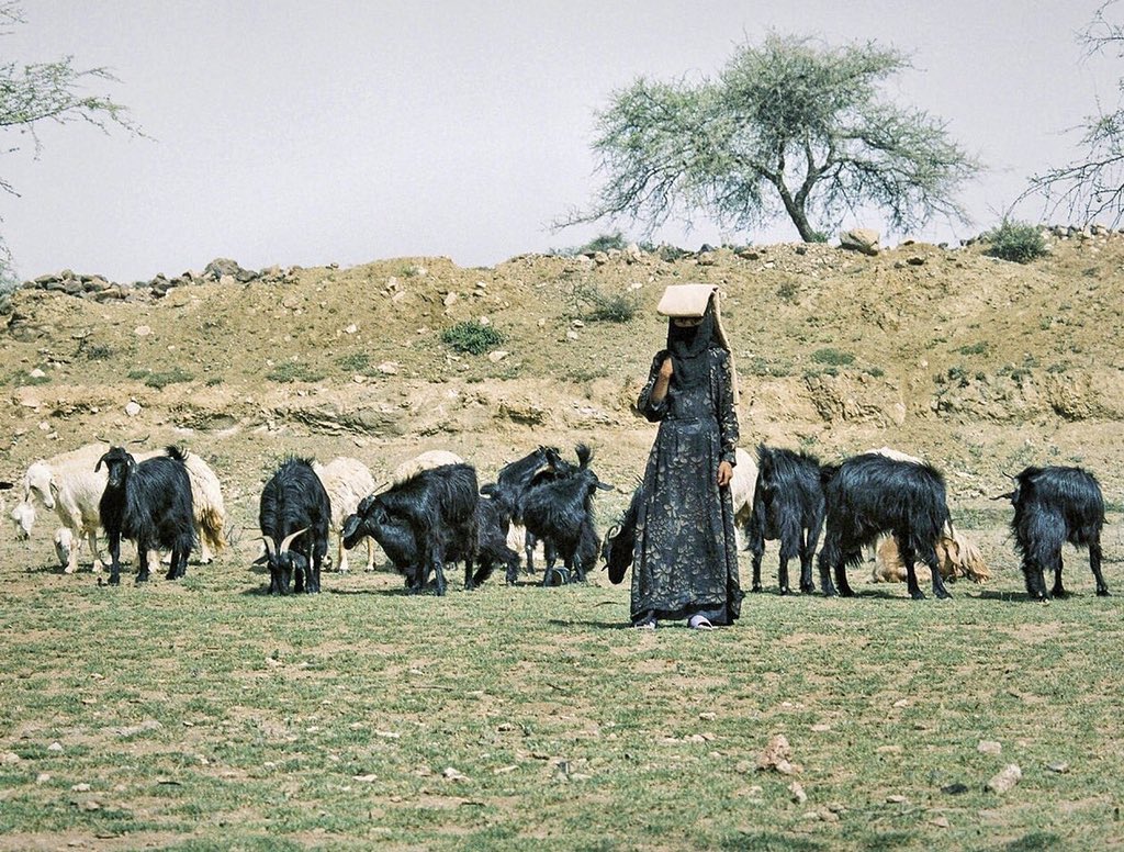 أمثال بدويه عتيبيه