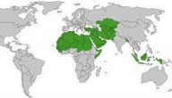 كم يبلغ عدد الدول الإسلامية في أمريكا اللاتينية