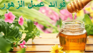 فوائد عسل الزهور