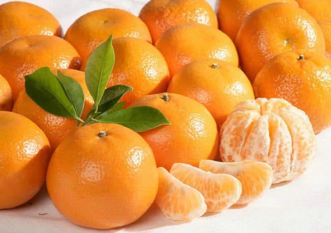 نسبة الكربوهيدرات في اليوسفي