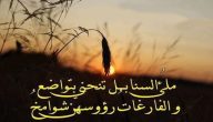 شعر عن التواضع للشافعي