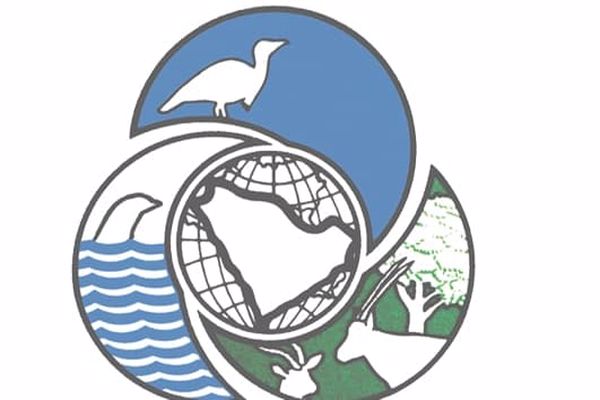 الحياة الفطرية في السعودية