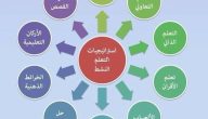 شرح استراتيجيات التعلم النشط بالصور