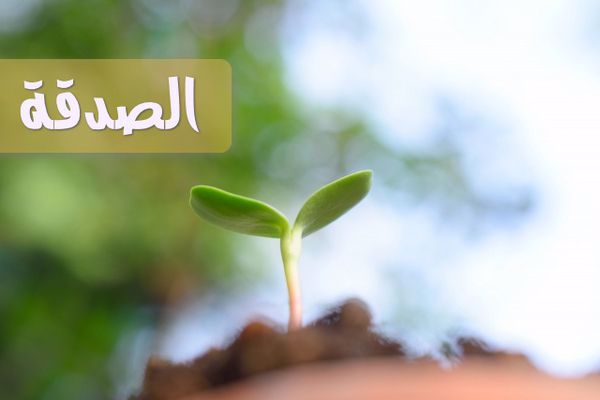 أنواع الصدقة في رمضان أنواع الصدقة في رمضان