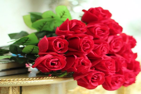 أنواع ورد للحديقة