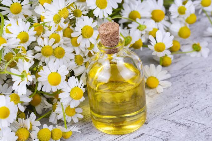 ما هي فوائد زيت البابونج للبشره