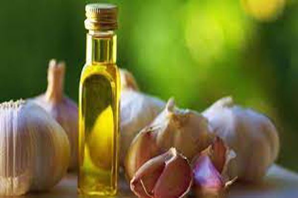 أضرار زيت الزيتون مع الثوم