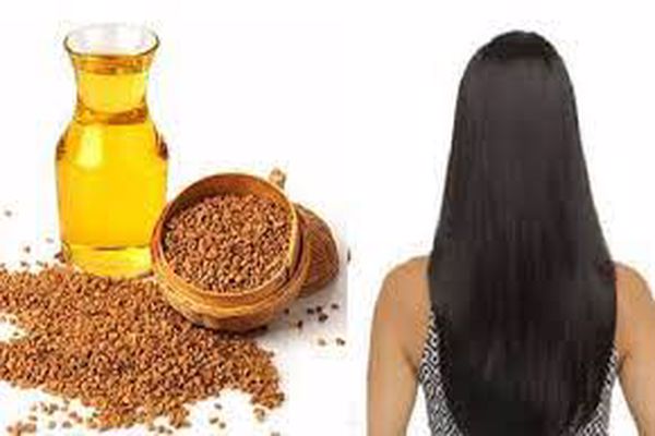 هل يستخدم زيت الحلبة للشعر