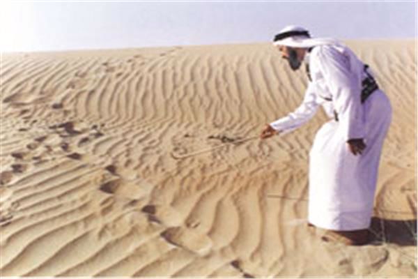 تقفي الاثر
