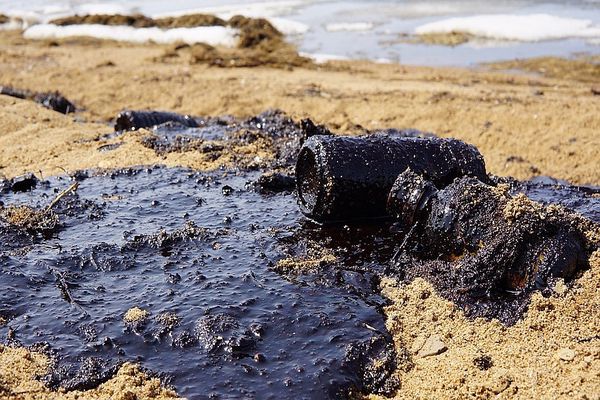 أسباب تلوث التربة الانسان الحيوان النبات