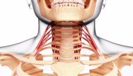 أعراض التهاب أعصاب الرأس والرقبة