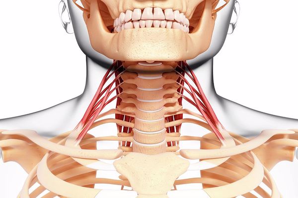 أعراض التهاب أعصاب الرأس والرقبة