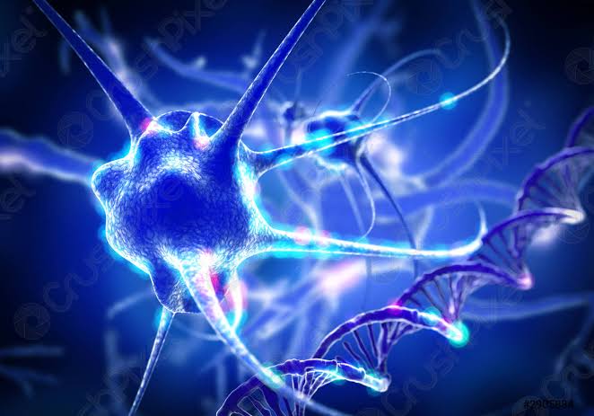 مشروبات لتقوية الأعصاب مشروبات لتقوية الأعصاب