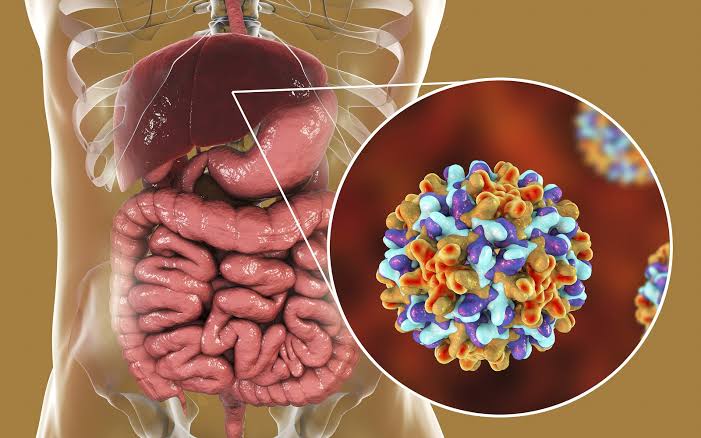 علاج التهاب الكبد الوبائي C بالأعشاب