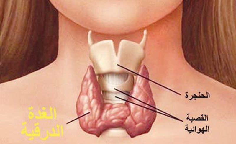 علاج تضخم الغدة الدرقية بالعسل