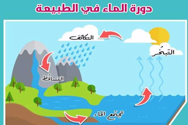 أسئلة عن دورة الماء في الطبيعة